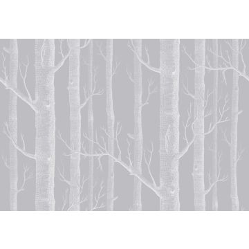 Cole & Son - Icons - Woods 112/3012