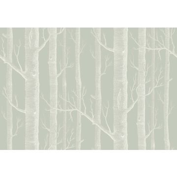 Cole & Son - Icons - Woods 112/3013