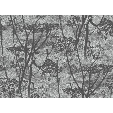 Cole & Son - Icons - Cow Parsley 112/8026