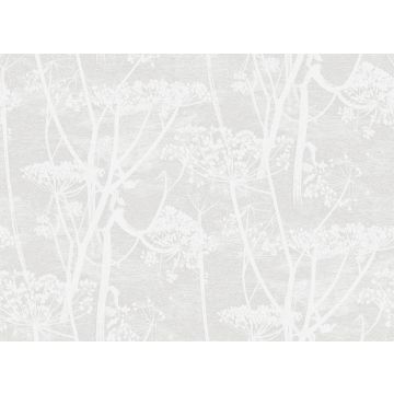 Cole & Son - Icons - Cow Parsley 112/8027