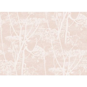 Cole & Son - Icons - Cow Parsley 112/8028