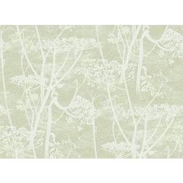 Cole & Son - Icons - Cow Parsley 112/8029