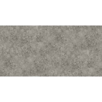 Cole & Son - Martyn Lawrence Bullard - Patina Haze 113/9027