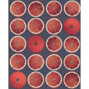 Cole & Son - Fornasetti Senza Tempo - Arance 114/24046