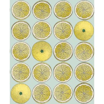 Cole & Son - Fornasetti Senza Tempo - Arance 114/24048