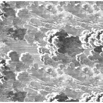 Cole & Son - Fornasetti Senza Tempo - Nuvole 114/29058