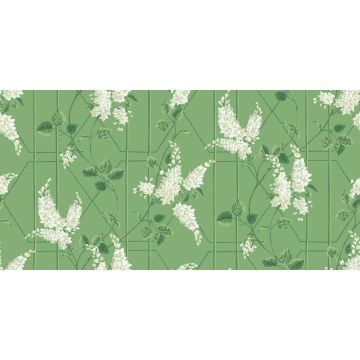 Cole & Son - Botanical Botanica - Wisteria 115/5016