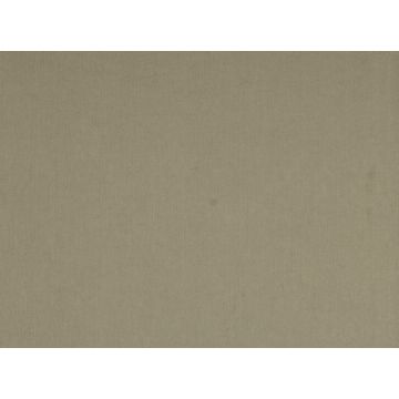 Dominique Kieffer - Coutil de Coton - Mastic 17163-001