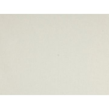 Dominique Kieffer - Coutil de Coton - Blanc cassé 17163-005