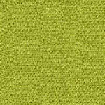 Dominique Kieffer - Le Lin - Chartreuse 17205-015