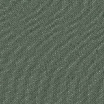 Dominique Kieffer - Gros Lin - Lichen 17208-002