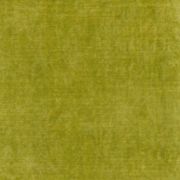 Dominique Kieffer - Shaggy - Chartreuse 17242-011