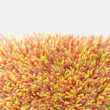 Kvadrat x Danskina - Bravoure 25th anniversary - 20004-692