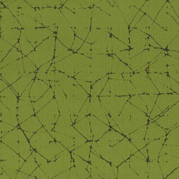 Rubelli - Vermeer - 30203-012 Erba