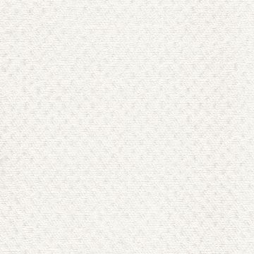 Rubelli - Caesar - 30204-001 Avorio