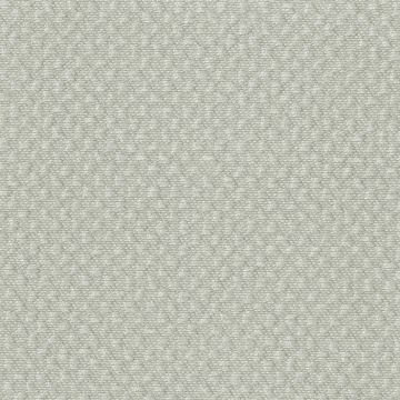 Rubelli - Caesar - 30204-008 Argento