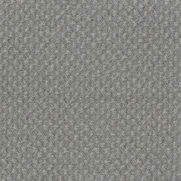 Rubelli - Caesar - 30204-009 Grigio