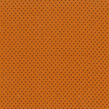 Rubelli - Taidai - 30214-013 Arancio