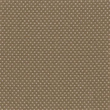 Rubelli - Taidai - 30214-004 Tabacco