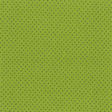 Rubelli - Taidai - 30214-009 Erba