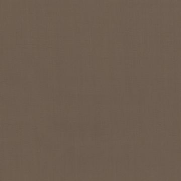 Rubelli - Savile Row - 30221-005 Castoro