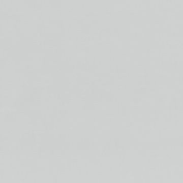 Rubelli - Shogun - 30227-011 Madreperla