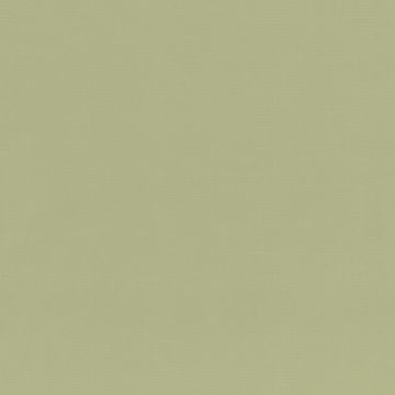 Rubelli - Shogun - 30227-023 Salice