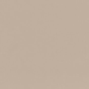 Rubelli - Shogun - 30227-004 Pietra