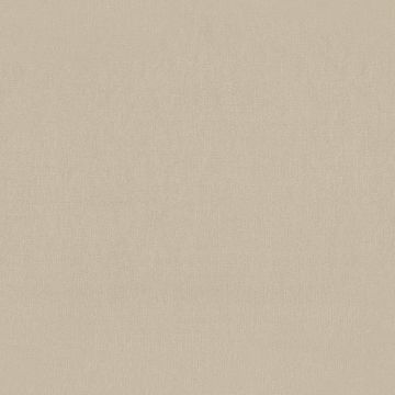 Rubelli - Vivienne - 30300-006 Argilla