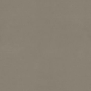 Rubelli - Velvetforty - 30321-008 Argilla