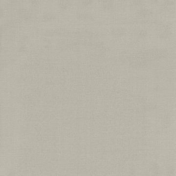 Rubelli - Ragtime - 30326-006 Argento