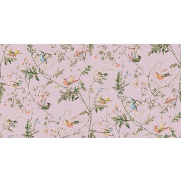 Cole & Son - Collection of Flowers - Humming Birds 62/1003