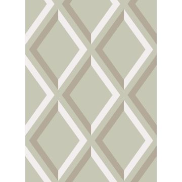 Cole & Son - New Contemporary I - Pompeian 66/3021