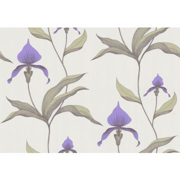 Cole & Son - New Contemporary I - Orchid 66/4024