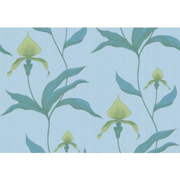 Cole & Son - New Contemporary I - Orchid 66/4029