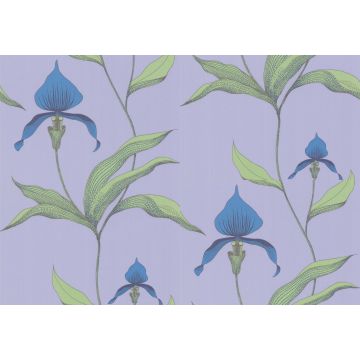 Cole & Son - New Contemporary I - Orchid 66/4031