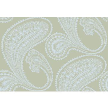 Cole & Son - New Contemporary I - Rajapur 66/5034