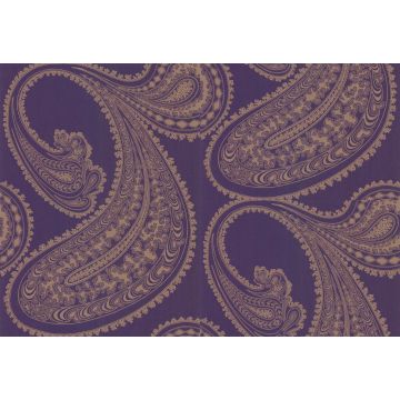 Cole & Son - New Contemporary I - Rajapur 66/5040