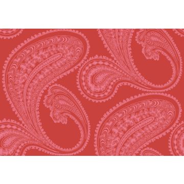 Cole & Son - New Contemporary I - Rajapur 66/5041