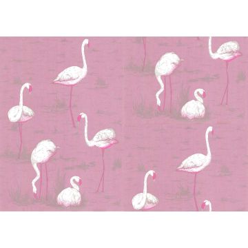 Cole & Son - New Contemporary I - Flamingos 66/6043