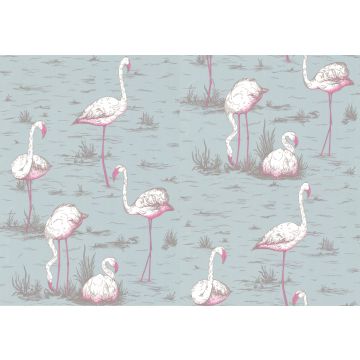 Cole & Son - New Contemporary I - Flamingos 66/6044