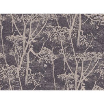 Cole & Son - New Contemporary I - Cow Parsley 66/7048