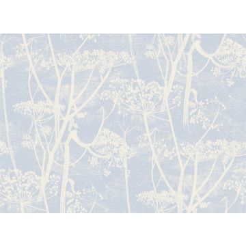 Cole & Son - New Contemporary I - Cow Parsley 66/7050
