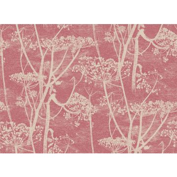 Cole & Son - New Contemporary I - Cow Parsley 66/7052