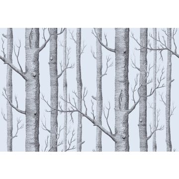 Cole & Son - New Contemporary II - Woods 69/12150