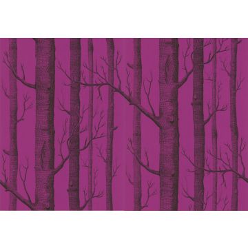 Cole & Son - New Contemporary II - Woods 69/12152