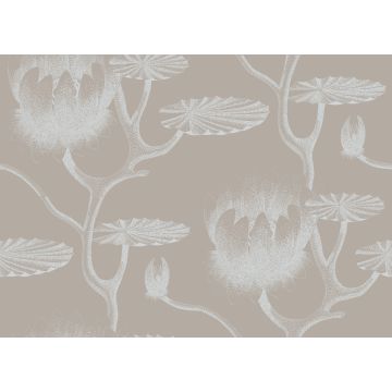 Cole & Son - New Contemporary II - Lily 69/3110