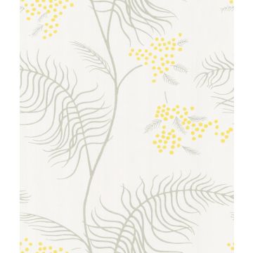 Cole & Son - New Contemporary II - Mimosa 69/8132