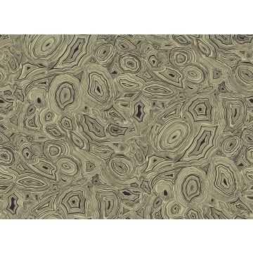 Cole & Son - Fornasetti - Malachite 77/7027