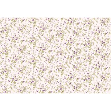 Cole & Son - Collection of Flowers - Sweet Pea 81/11047